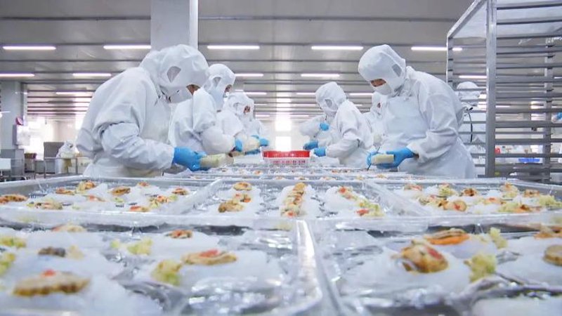 探索大荔食品厂背后的独特魅力